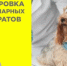 Участникам оборота лекарственных препаратов для ветеринарного применения! Сроки обязательной маркировки - Городской округ Навашинский